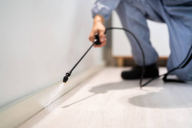 Professional exterminator conducting IPM assessment in Blasdell